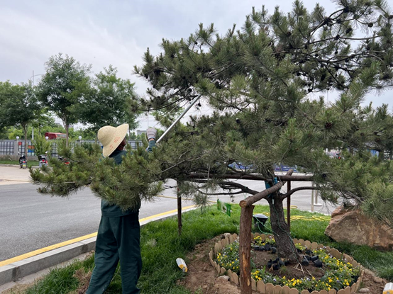 走進園區(qū)，感受夏日炎炎里的“理想之城”！